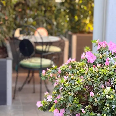 Homestay Privata Con Terrazza *